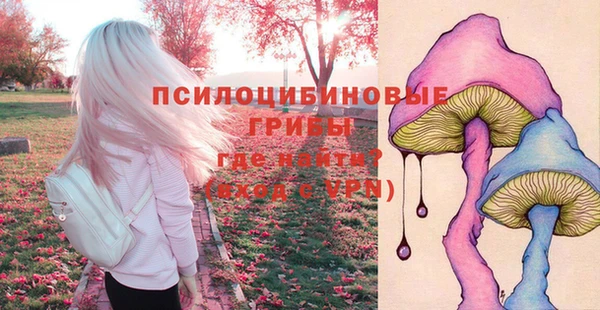 прущий лед Алексин