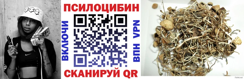hydra как зайти  Юрюзань  Галлюциногенные грибы Psilocybine cubensis 